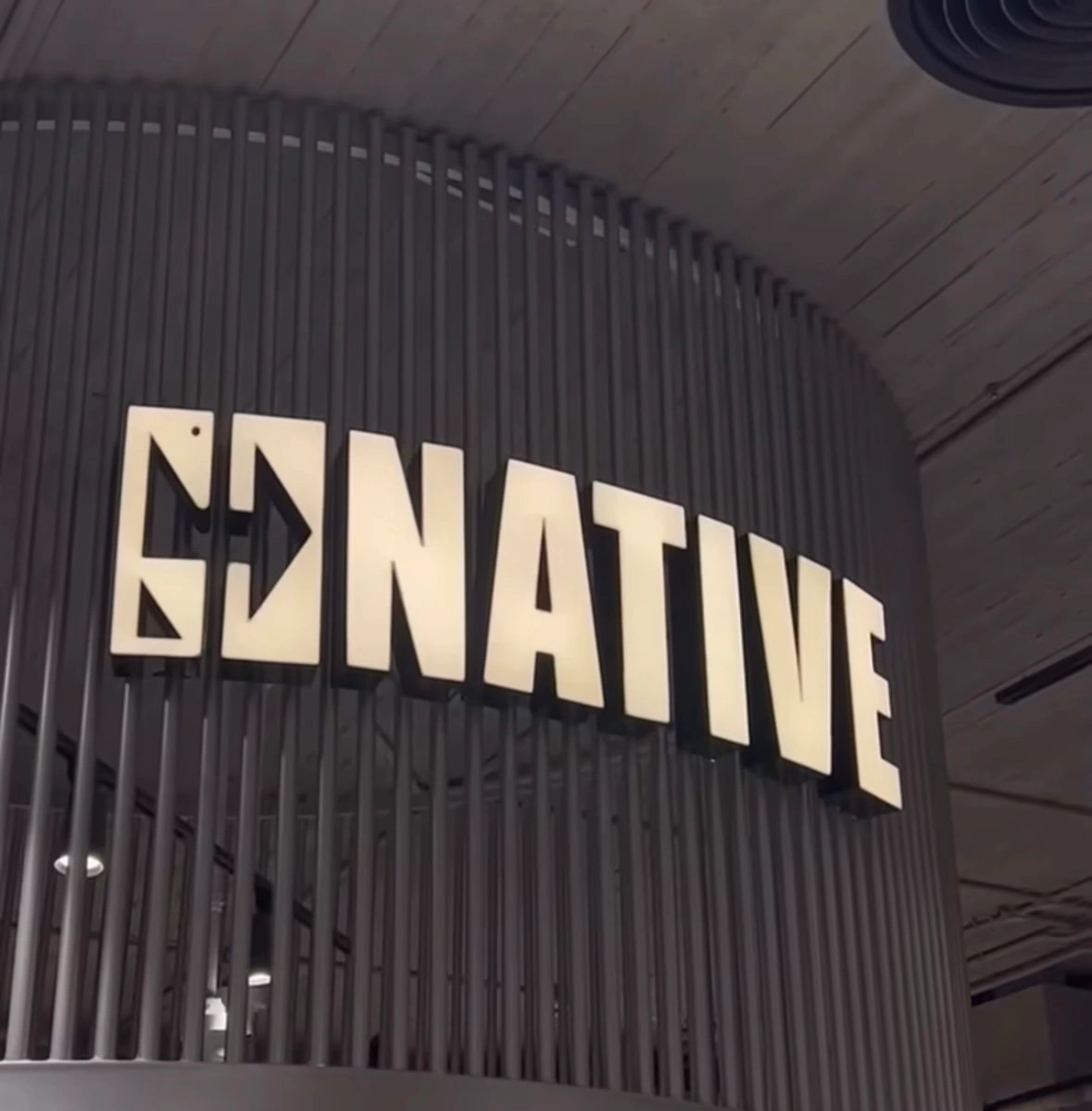 Gonative brand identity, image 2