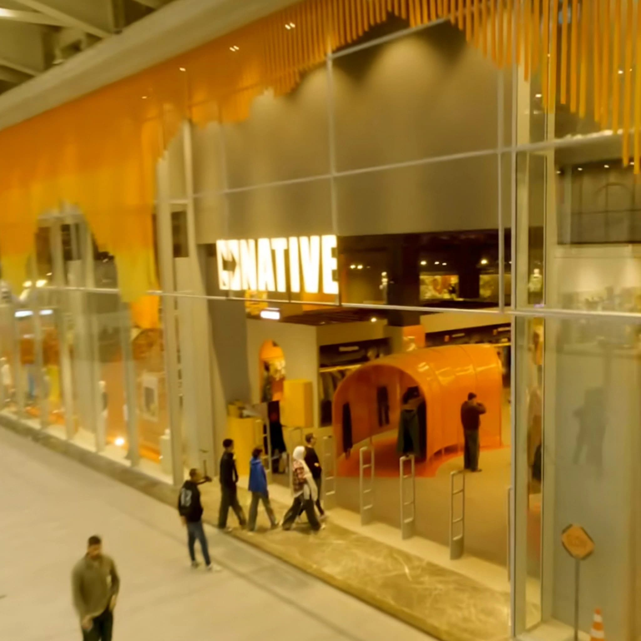 Gonative brand identity, image 3