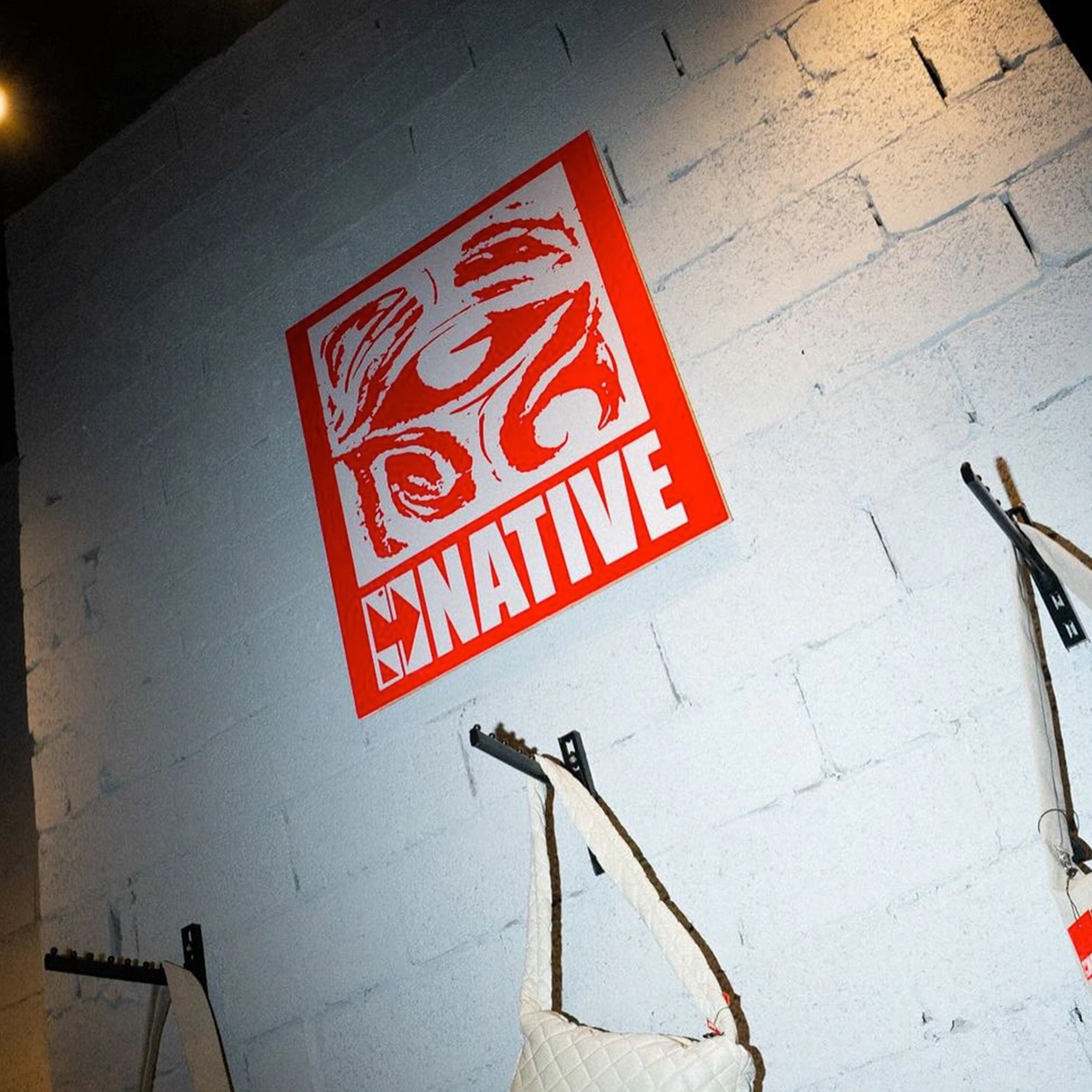 Gonative brand identity, image 6