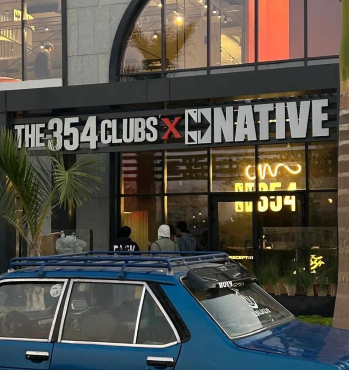 Gonative brand identity, image 11
