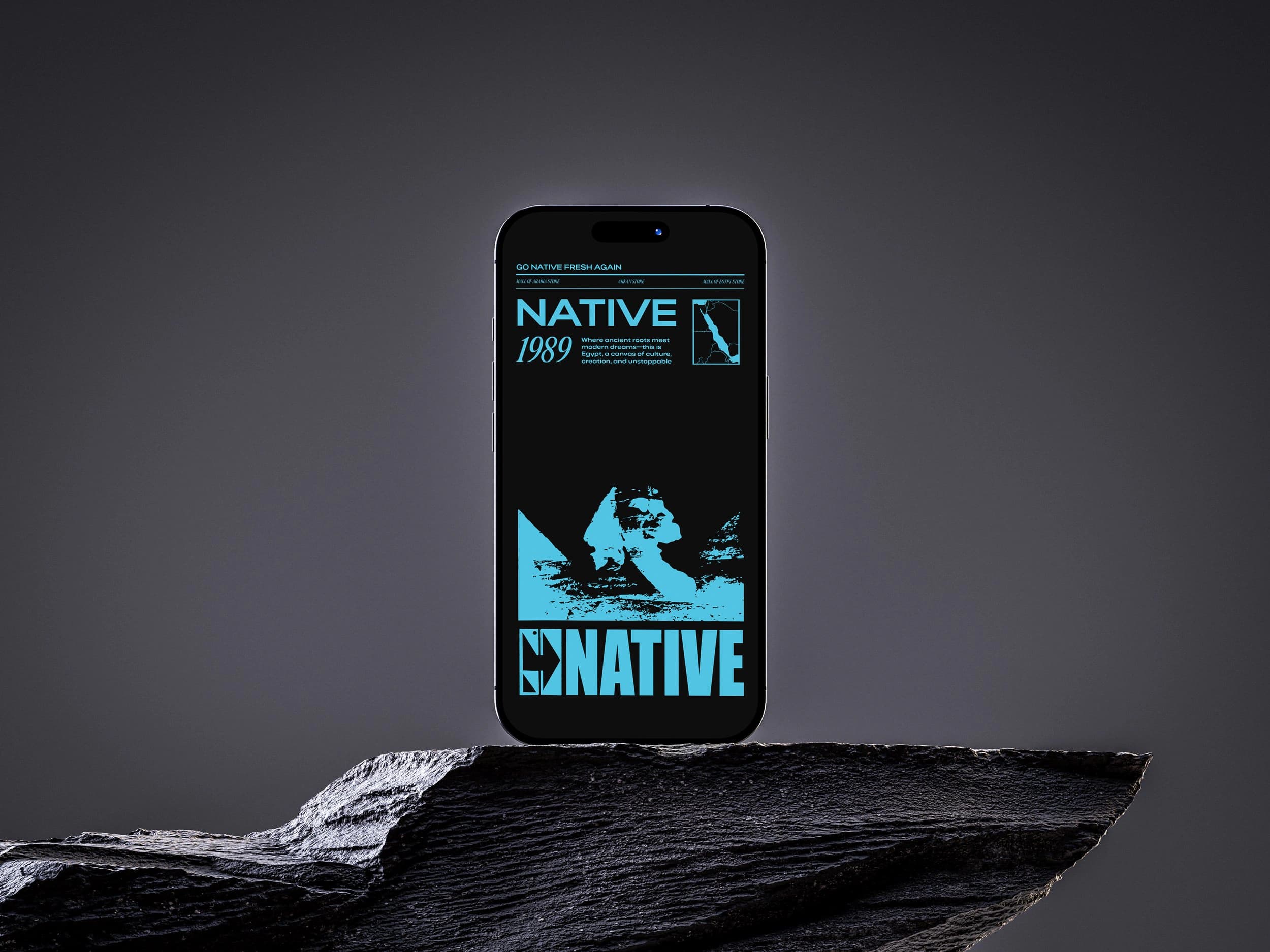 Gonative brand identity, image 22