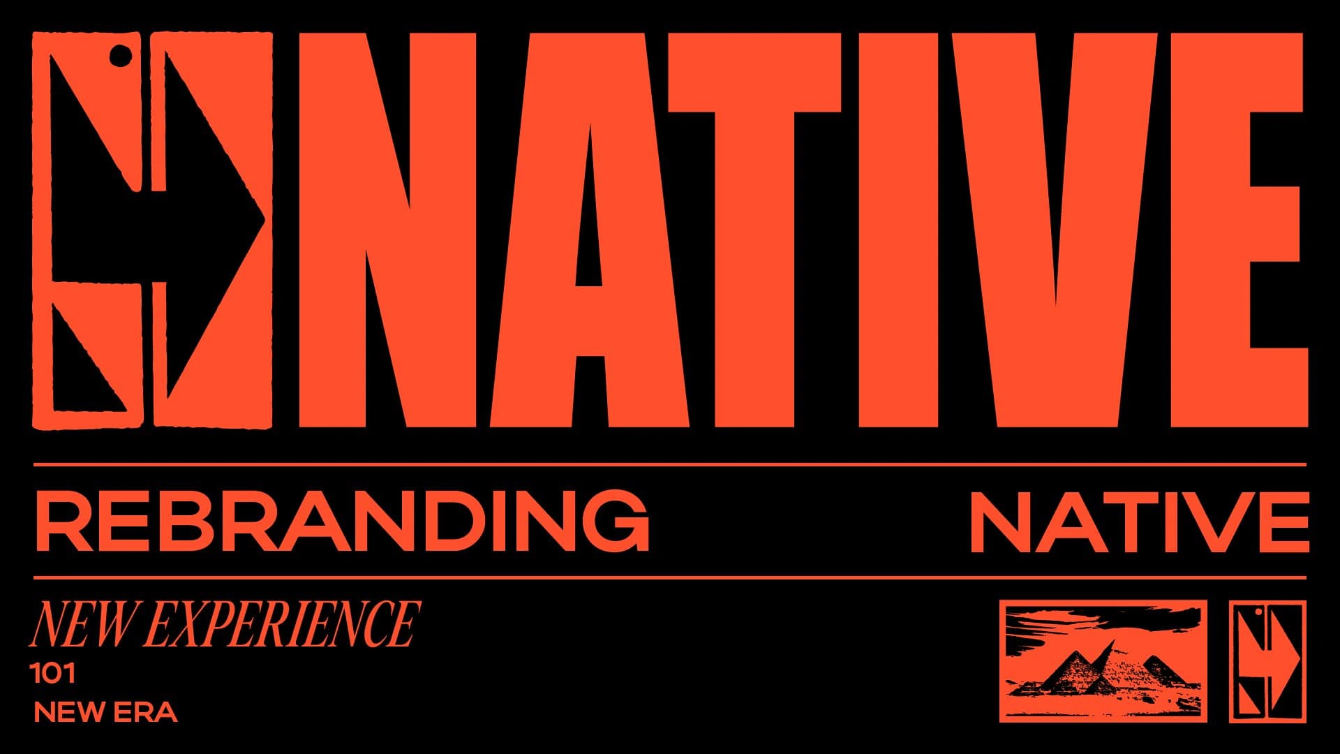 Gonative brand identity, image 29