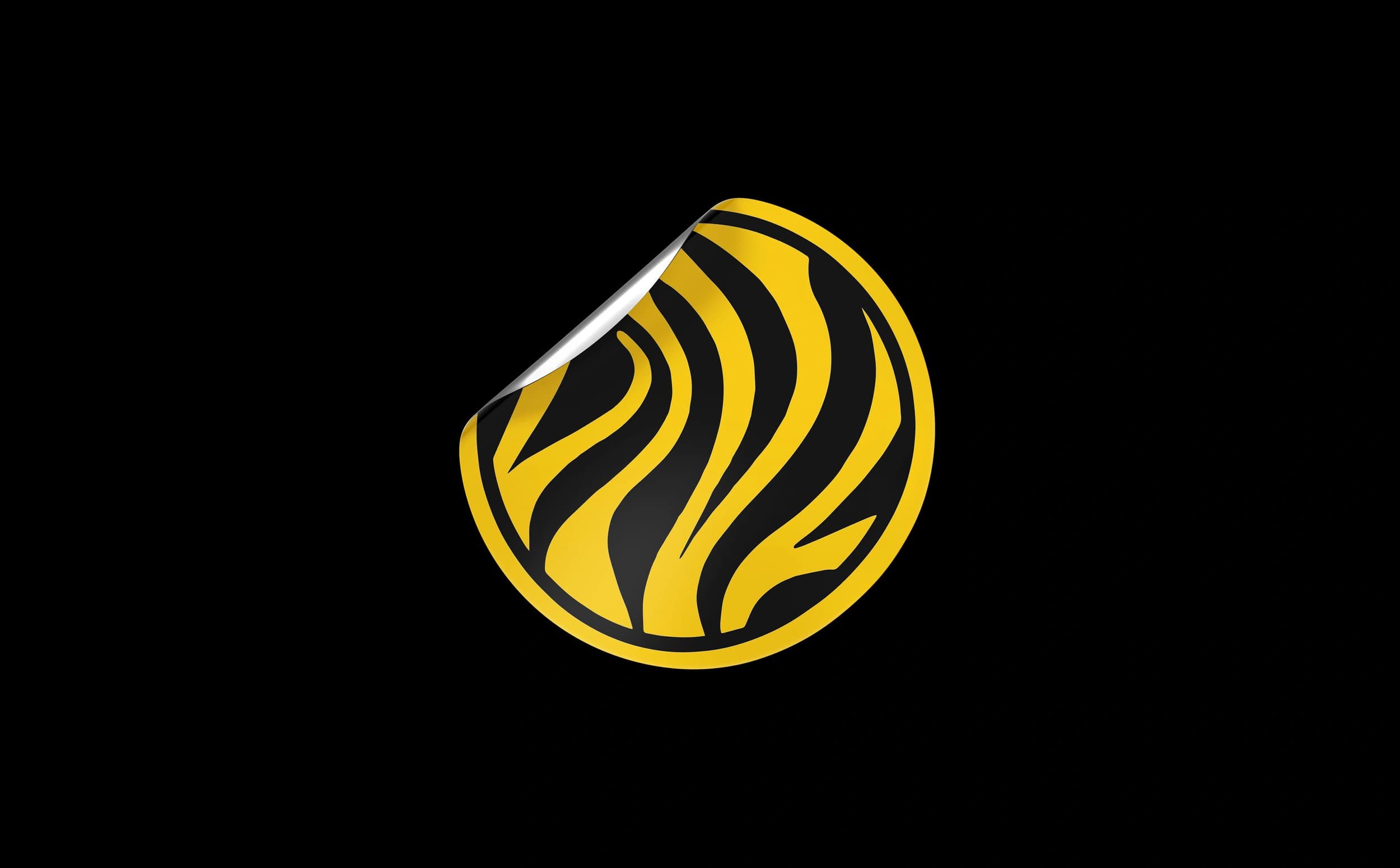 Los Niños Locos brand identity, image 10